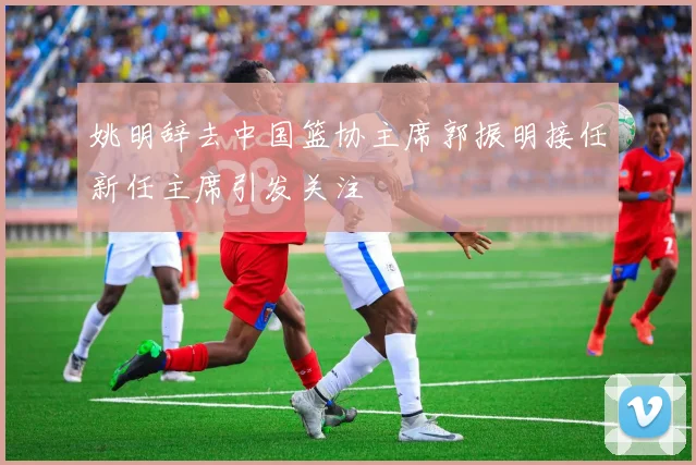 姚明辞去中国篮协主席郭振明接任新任主席引发关注
