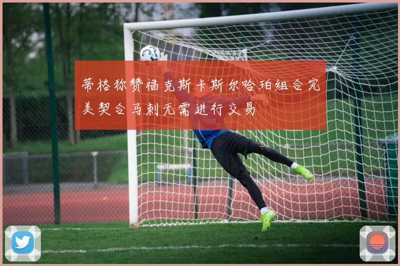 蒂格称赞福克斯卡斯尔哈珀组合完美契合马刺无需进行交易