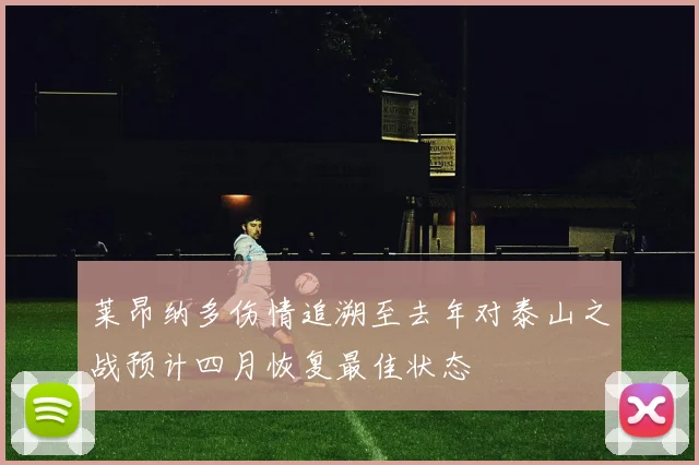 莱昂纳多伤情追溯至去年对泰山之战预计四月恢复最佳状态