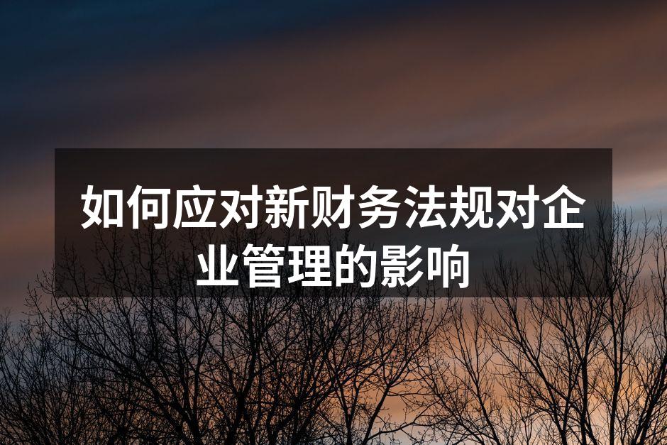 如何应对新财务法规对企业管理的影响