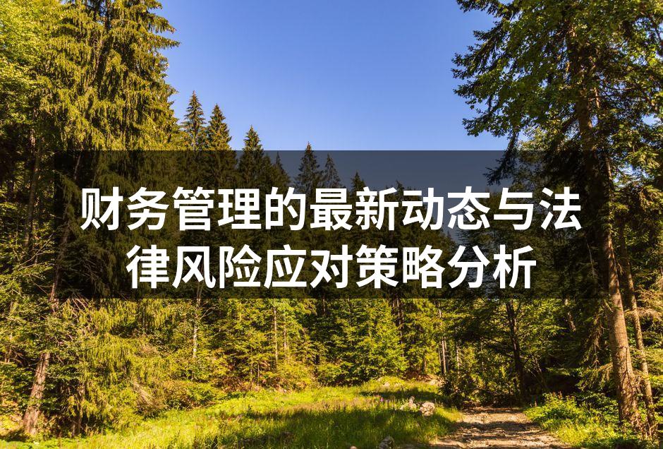 财务管理的最新动态与法律风险应对策略分析