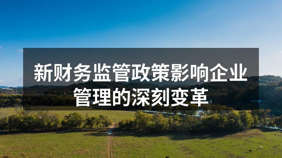 新财务监管政策影响企业管理的深刻变革